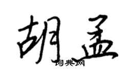 王正良胡孟行书个性签名怎么写