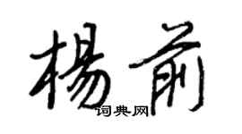 王正良杨前行书个性签名怎么写