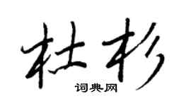 王正良杜杉行书个性签名怎么写