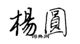王正良杨圆行书个性签名怎么写