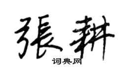 王正良张耕行书个性签名怎么写