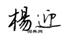 王正良杨迎行书个性签名怎么写