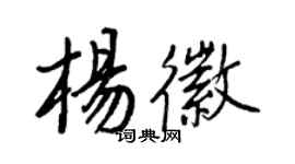 王正良杨徽行书个性签名怎么写