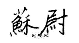 王正良苏尉行书个性签名怎么写