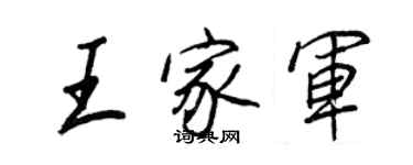 王正良王家军行书个性签名怎么写