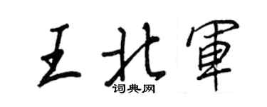 王正良王北军行书个性签名怎么写