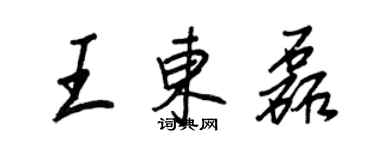 王正良王东磊行书个性签名怎么写