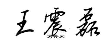 王正良王震磊行书个性签名怎么写