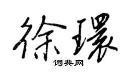 王正良徐环行书个性签名怎么写