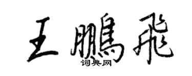王正良王鹏飞行书个性签名怎么写