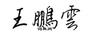 王正良王鹏云行书个性签名怎么写