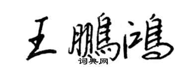 王正良王鹏鸿行书个性签名怎么写