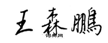 王正良王森鹏行书个性签名怎么写