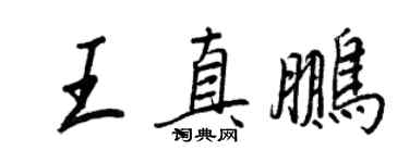 王正良王真鹏行书个性签名怎么写