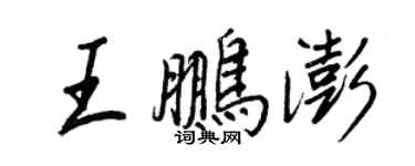 王正良王鹏澎行书个性签名怎么写