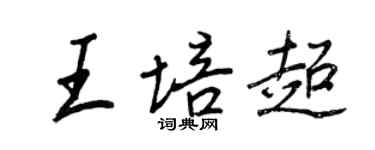 王正良王培超行书个性签名怎么写