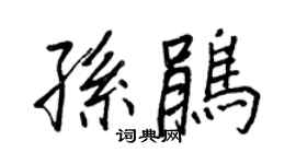 王正良孙鹃行书个性签名怎么写