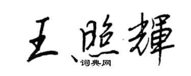 王正良王照辉行书个性签名怎么写