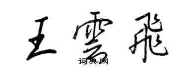 王正良王云飞行书个性签名怎么写