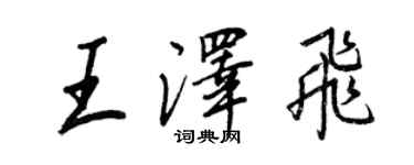 王正良王泽飞行书个性签名怎么写