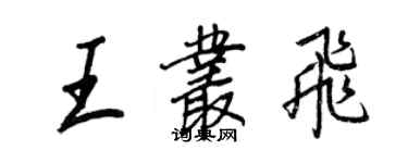 王正良王丛飞行书个性签名怎么写