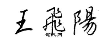 王正良王飞阳行书个性签名怎么写