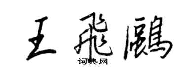 王正良王飞鸥行书个性签名怎么写