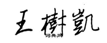 王正良王树凯行书个性签名怎么写