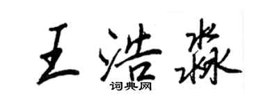王正良王浩淼行书个性签名怎么写