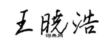 王正良王晓浩行书个性签名怎么写