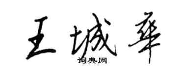 王正良王城华行书个性签名怎么写
