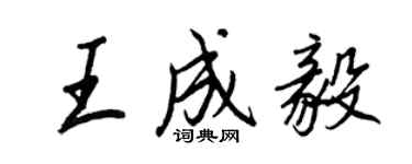 王正良王成毅行书个性签名怎么写
