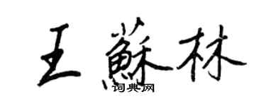 王正良王苏林行书个性签名怎么写