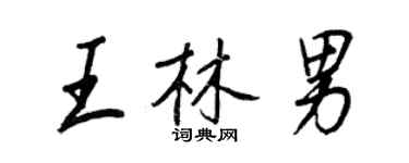 王正良王林男行书个性签名怎么写
