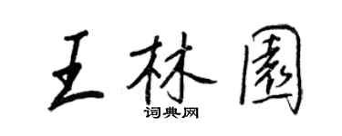 王正良王林园行书个性签名怎么写