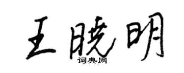 王正良王晓明行书个性签名怎么写