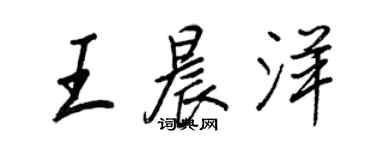王正良王晨洋行书个性签名怎么写