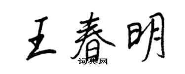 王正良王春明行书个性签名怎么写