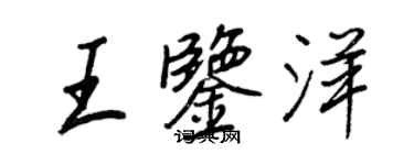 王正良王鉴洋行书个性签名怎么写