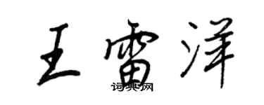 王正良王雷洋行书个性签名怎么写