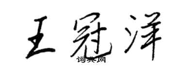王正良王冠洋行书个性签名怎么写