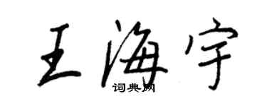 王正良王海宇行书个性签名怎么写