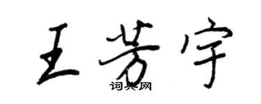 王正良王芳宇行书个性签名怎么写