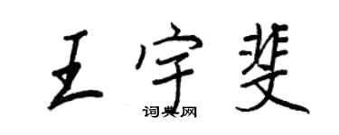 王正良王宇斐行书个性签名怎么写