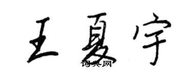 王正良王夏宇行书个性签名怎么写
