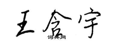 王正良王含宇行书个性签名怎么写