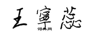 王正良王宁蕊行书个性签名怎么写