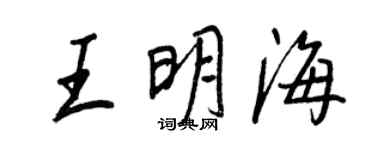 王正良王明海行书个性签名怎么写