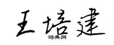 王正良王培建行书个性签名怎么写