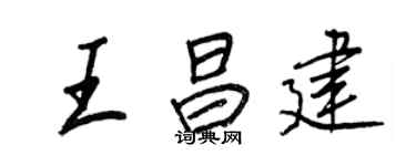 王正良王昌建行书个性签名怎么写